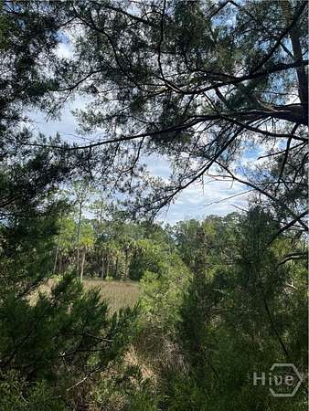 0.67 Acres of Residential Land for Sale in Savannah, Georgia