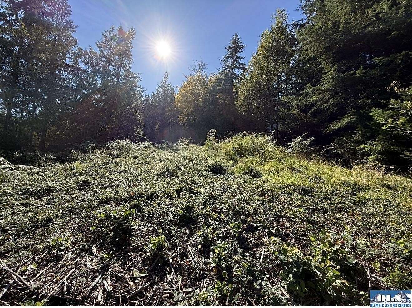 2.6 Acres of Residential Land for Sale in Sequim, Washington