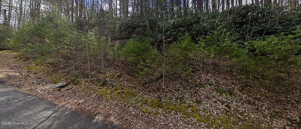 1.88 Acres of Residential Land for Sale in Vilas, North Carolina