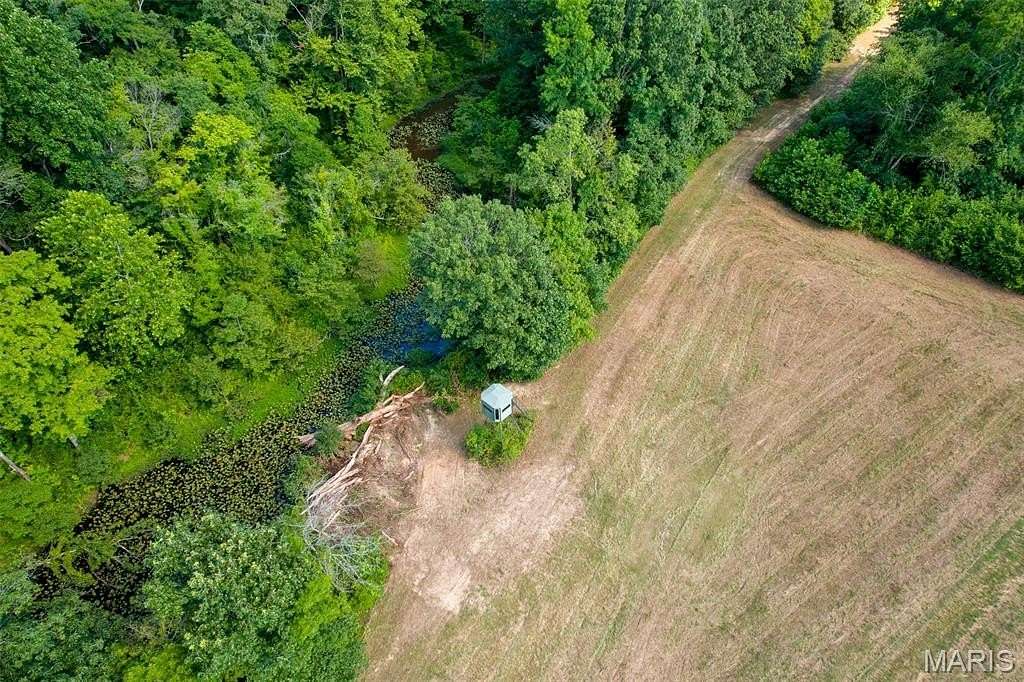 25 Acres of Land for Sale in Williamsville, Missouri