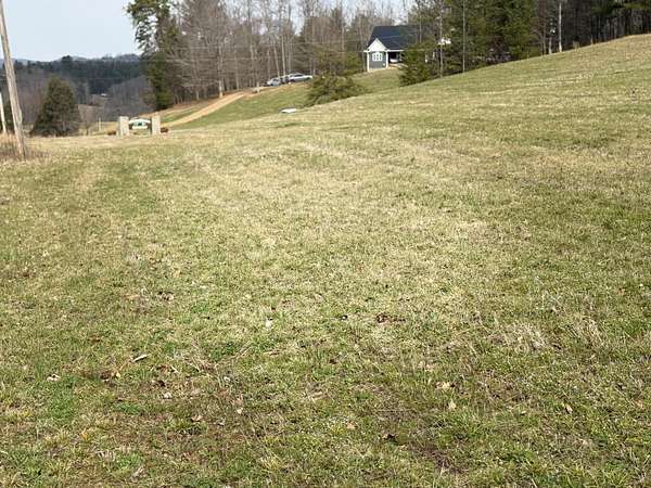 11.8 Acres of Land for Sale in Del Rio, Tennessee