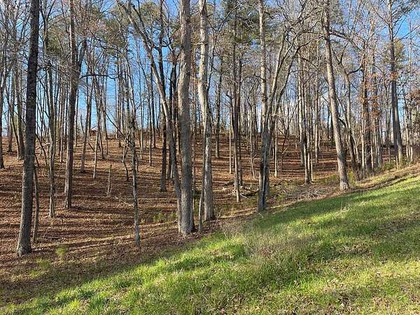 1.16 Acres of Residential Land for Sale in Ellijay, Georgia
