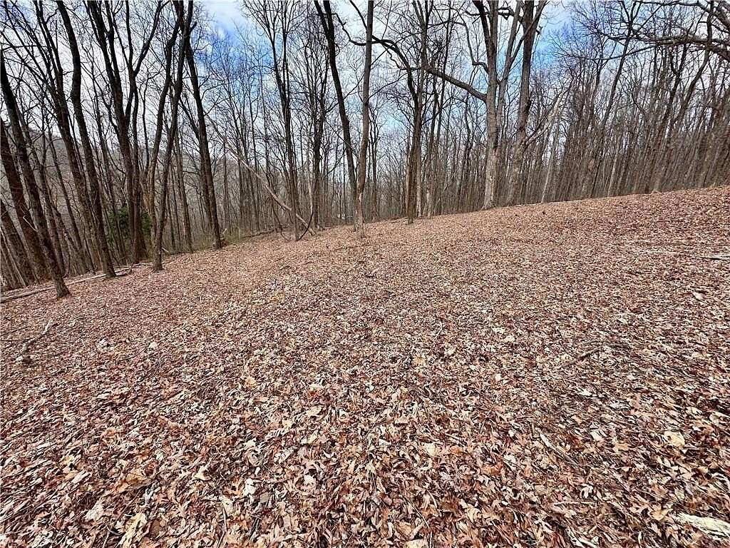 10 Acres of Land for Sale in Jasper, Georgia