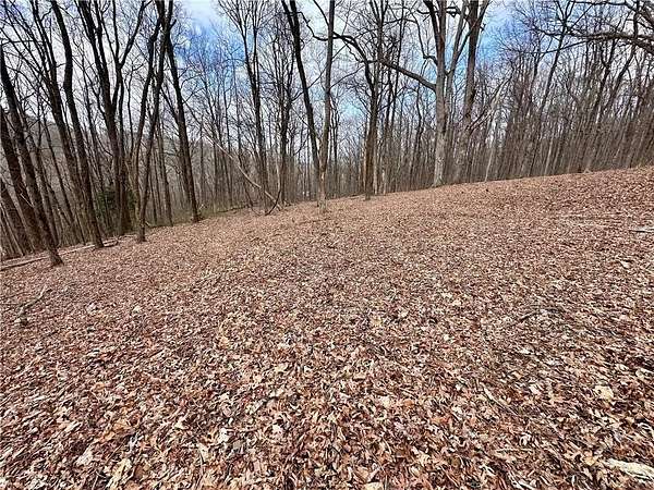 10 Acres of Land for Sale in Jasper, Georgia