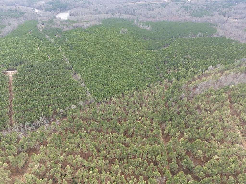 150 Acres of Recreational & Residential Land for Sale in Freeman, Virginia