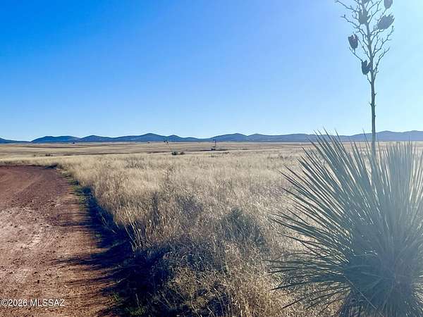 20 Acres of Agricultural Land for Sale in Sonoita, Arizona