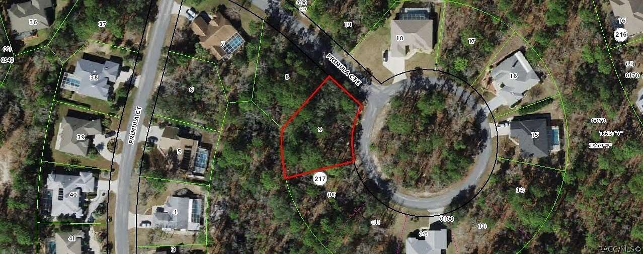 0.35 Acres of Land for Sale in Homosassa, Florida