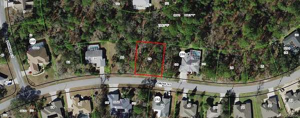 0.28 Acres of Land for Sale in Homosassa, Florida
