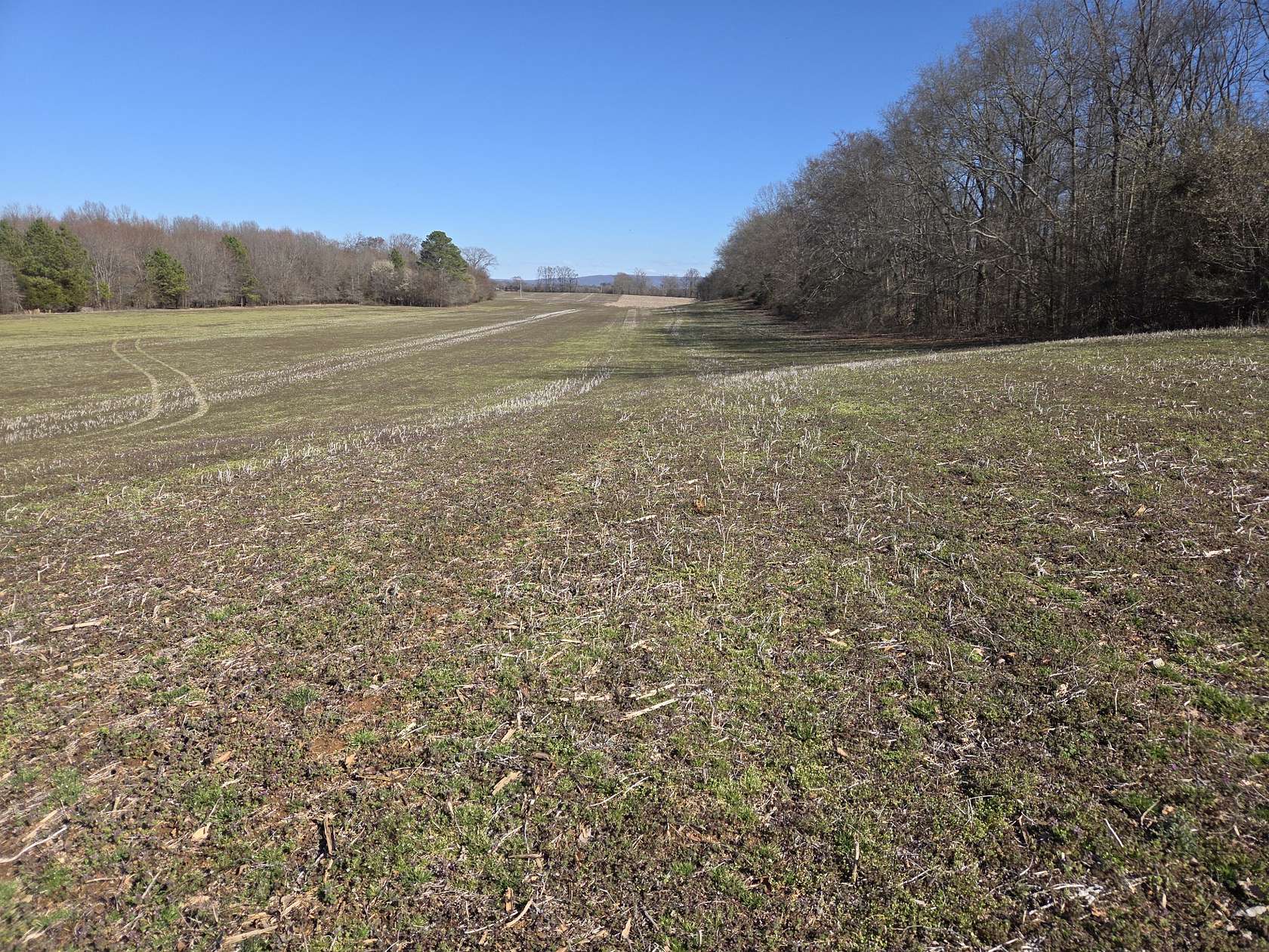 10.2 Acres of Land for Sale in Winchester, Tennessee