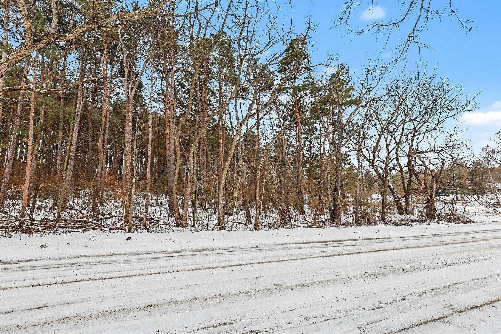 1 Acre of Land for Sale in Cedar Springs, Michigan