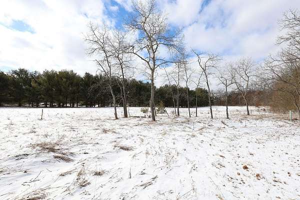 3.27 Acres of Land for Sale in Cedar Springs, Michigan