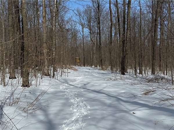 40 Acres of Land for Sale in Spencer, Wisconsin