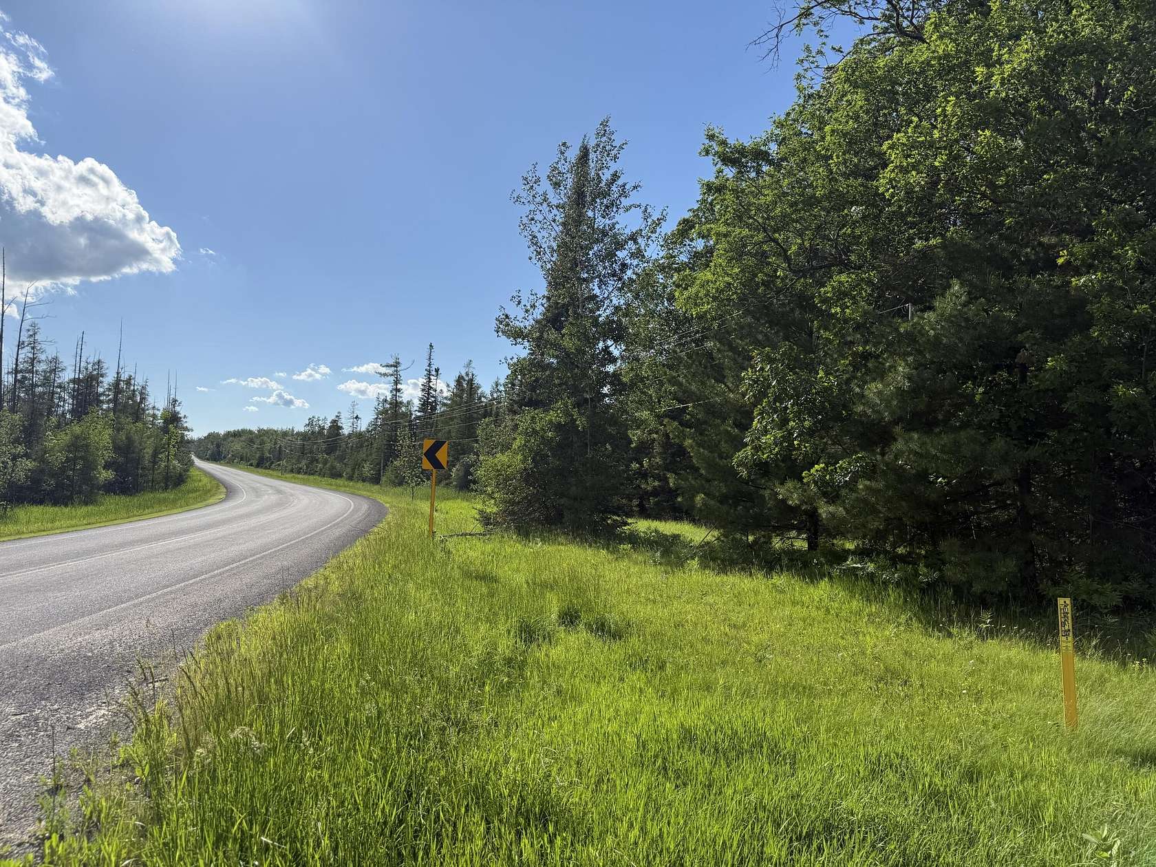 49.4 Acres of Recreational Land for Sale in Cheboygan, Michigan