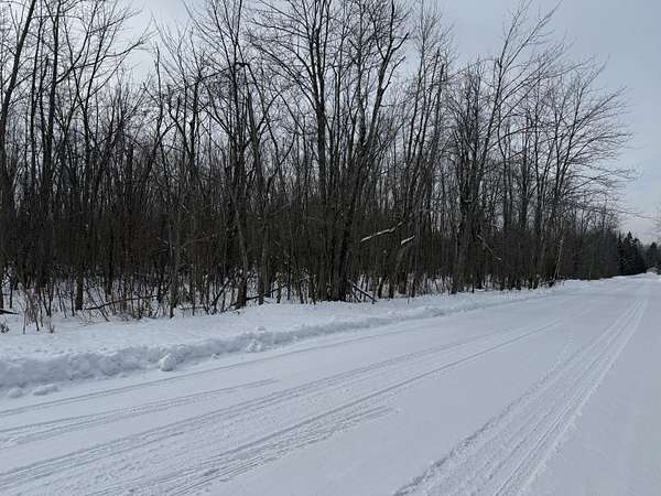 49.4 Acres of Recreational Land for Sale in Cheboygan, Michigan