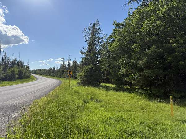 49.4 Acres of Recreational Land for Sale in Cheboygan, Michigan
