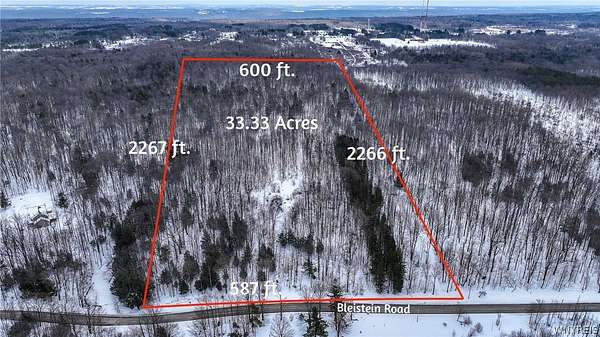 33.3 Acres of Land for Sale in Colden, New York