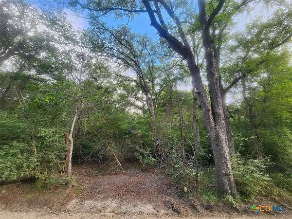 1.34 Acres of Land for Sale in Bastrop, Texas
