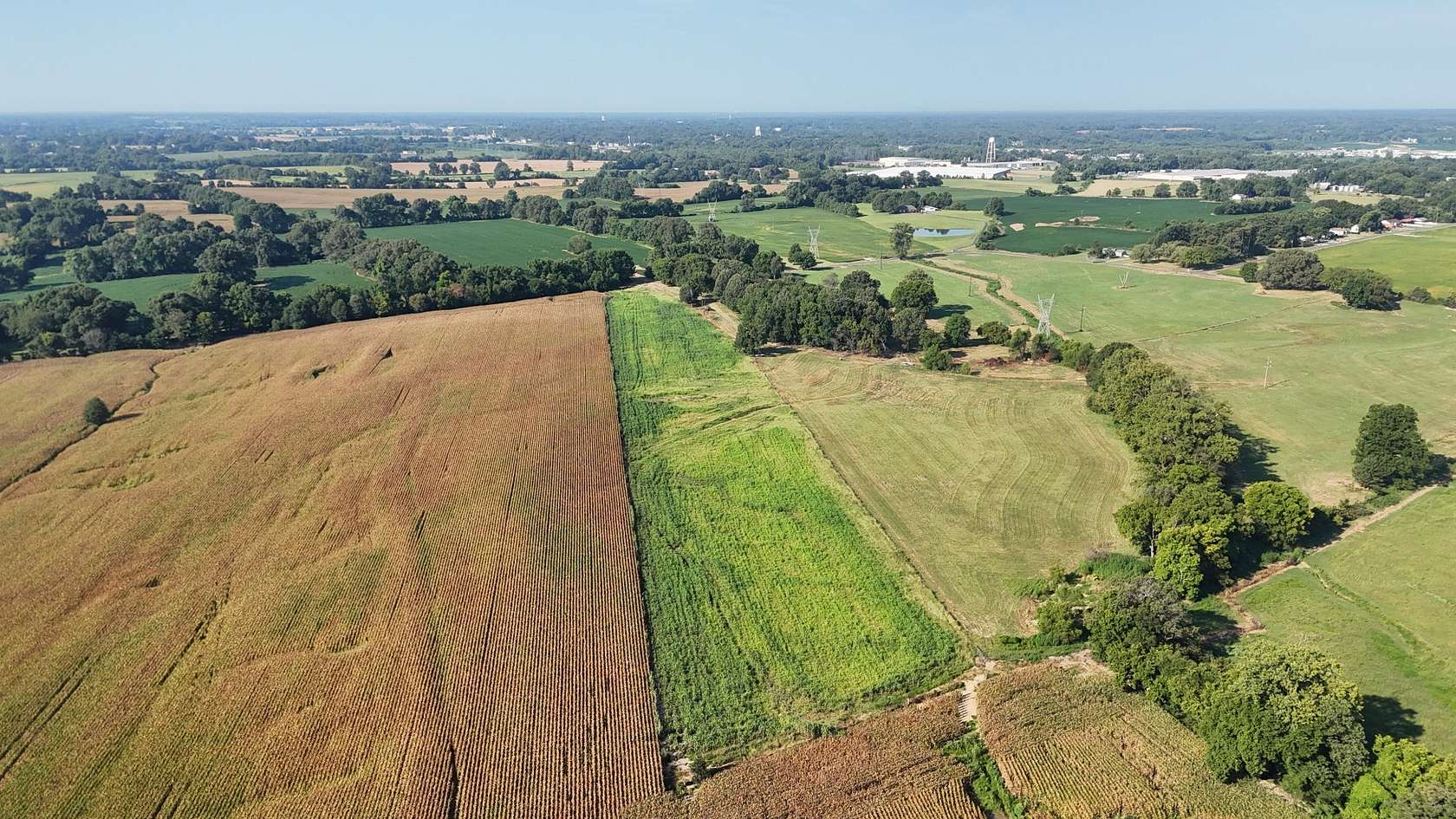 300 Acres of Agricultural Land for Sale in Covington, Tennessee