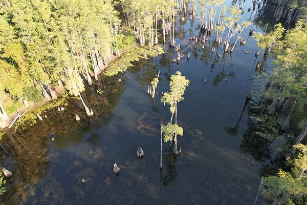 0.5 Acres of Residential Land for Sale in Grand Ridge, Florida