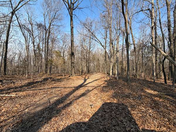 80 Acres of Land for Sale in Berryville, Arkansas