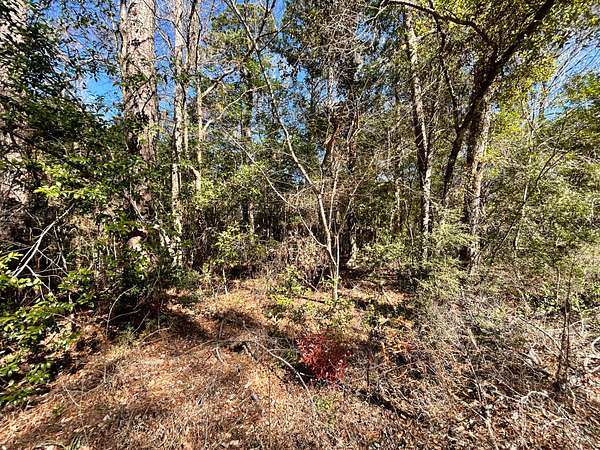 0.18 Acres of Residential Land for Sale in Woodville, Texas