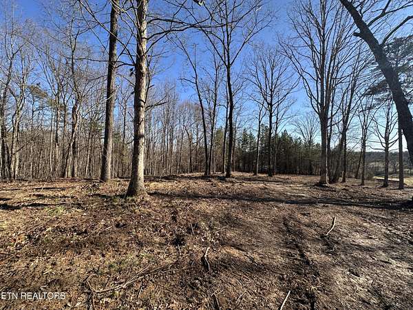 14.5 Acres of Land for Sale in Jamestown, Tennessee