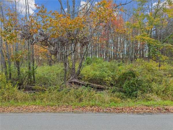 9.5 Acres of Residential Land for Sale in Spencer, New York