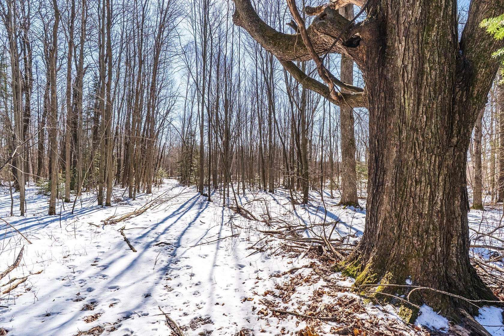 18.3 Acres of Recreational Land for Sale in Mosinee, Wisconsin