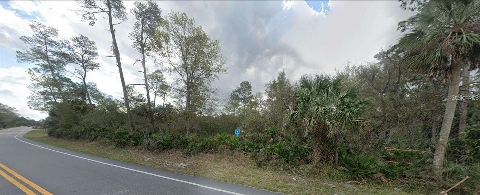 0.35 Acres of Residential Land for Sale in Paisley, Florida