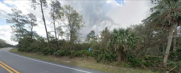 0.35 Acres of Residential Land for Sale in Paisley, Florida