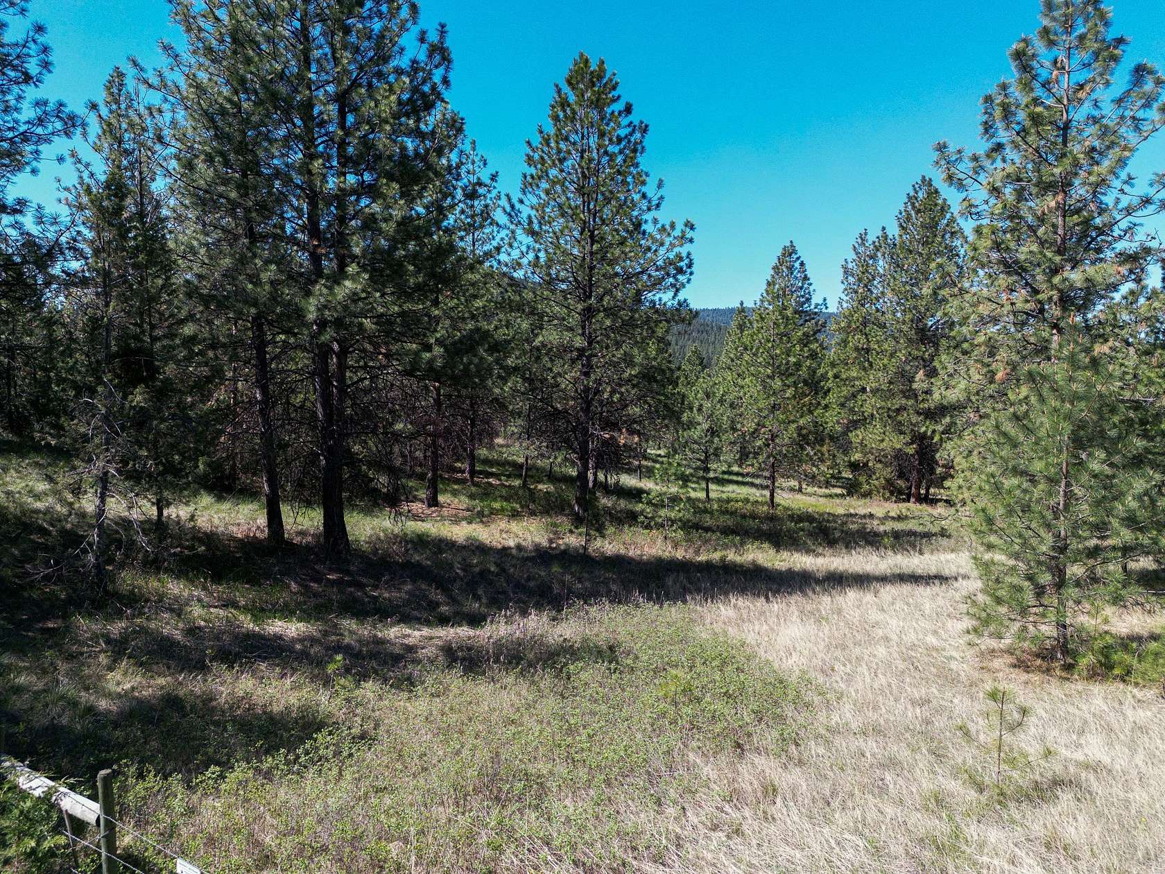 4.75 Acres of Residential Land for Sale in Big Arm, Montana