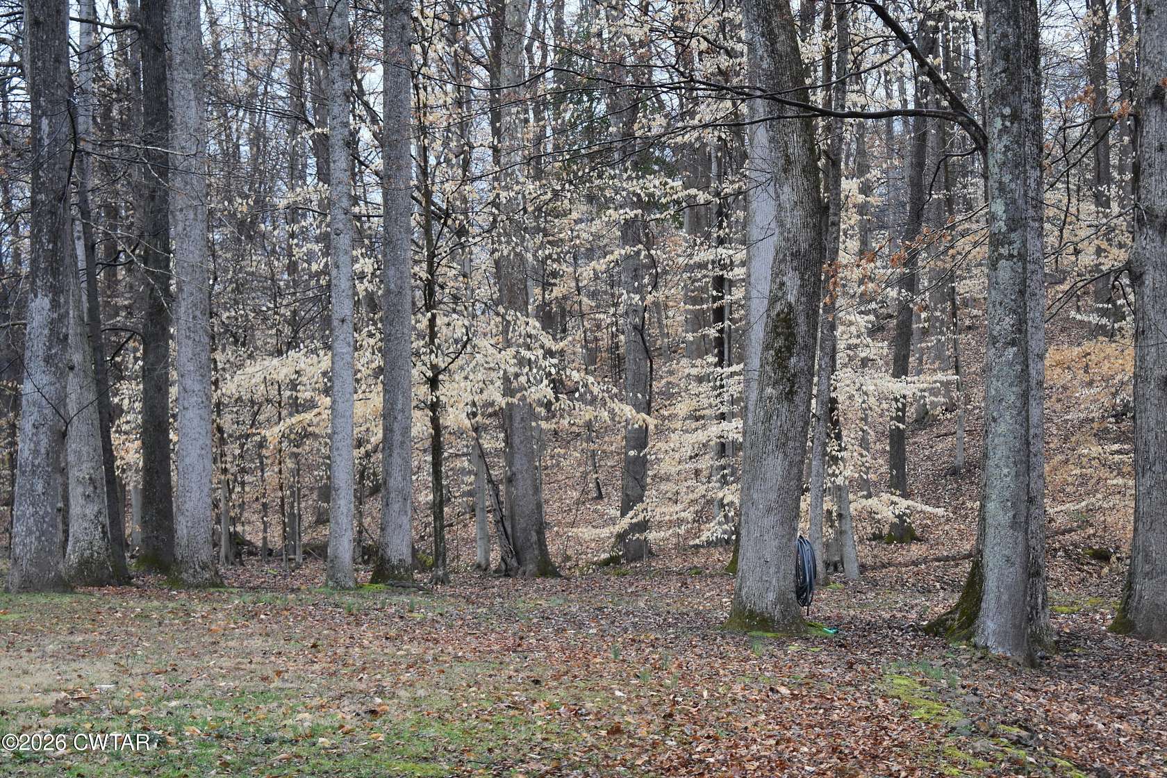 2.2 Acres of Residential Land for Sale in Jackson, Tennessee