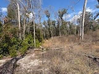 2.5 Acres of Residential Land for Sale in Old Town, Florida