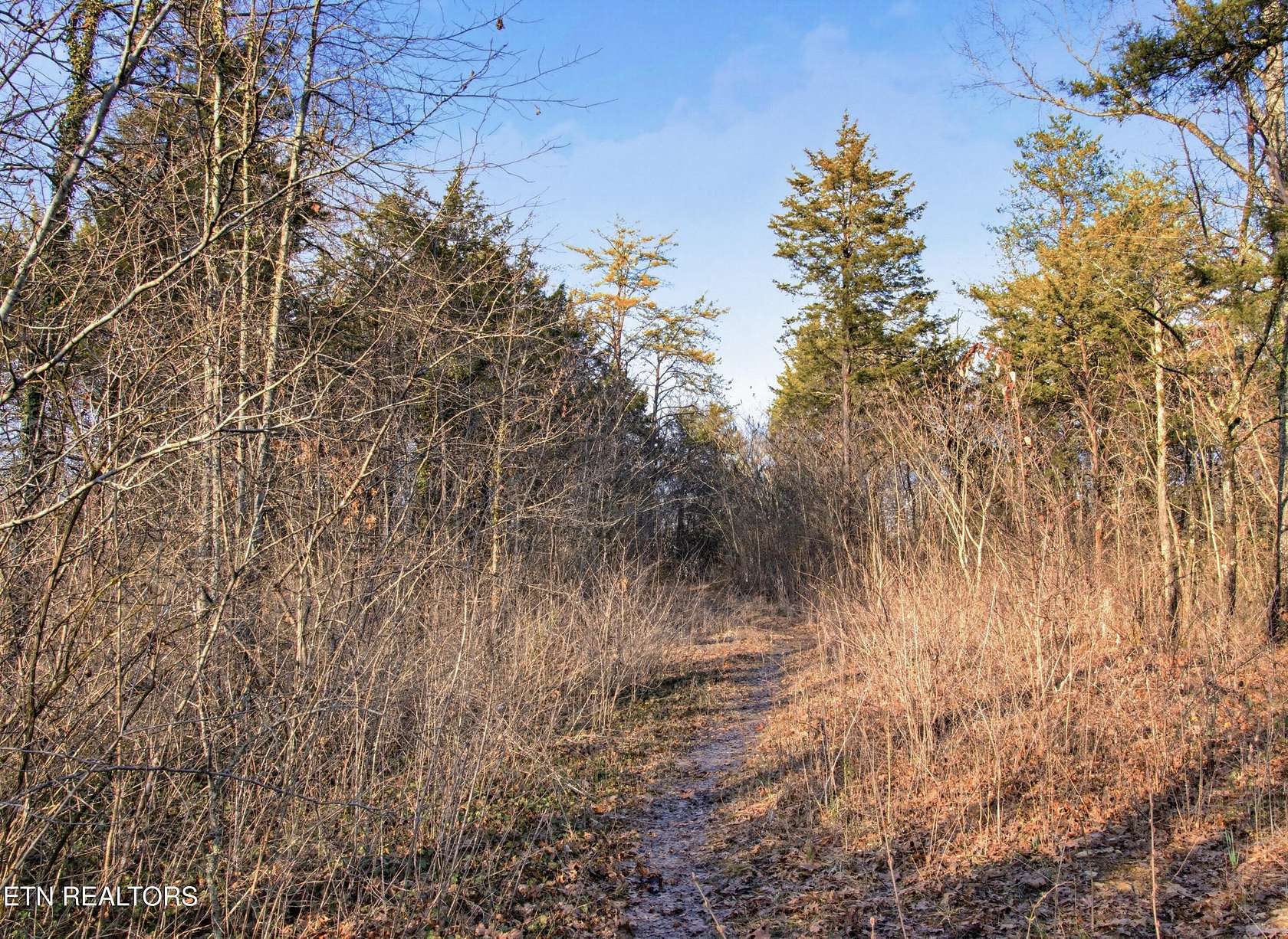 3 Acres of Residential Land for Sale in Knoxville, Tennessee