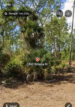 0.28 Acres of Residential Land for Sale in Lehigh Acres, Florida