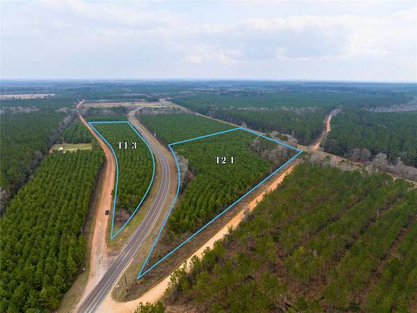 10.8 Acres of Land for Sale in Livingston, Texas