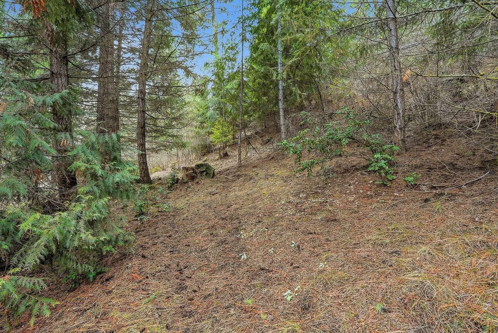 0.36 Acres of Land for Sale in Spokane, Washington