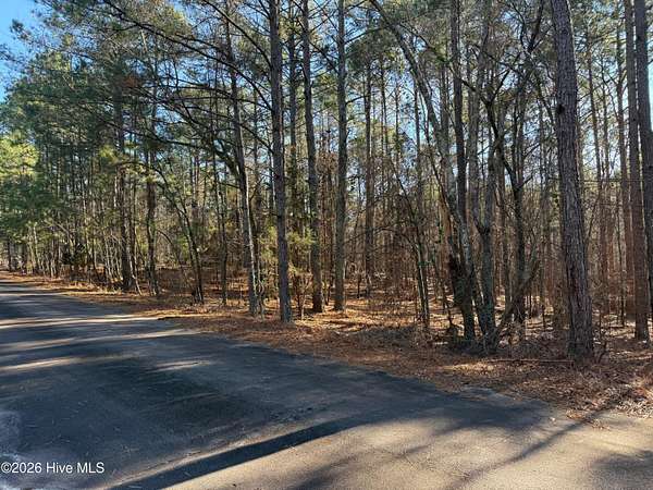 0.78 Acres of Residential Land for Sale in West End, North Carolina