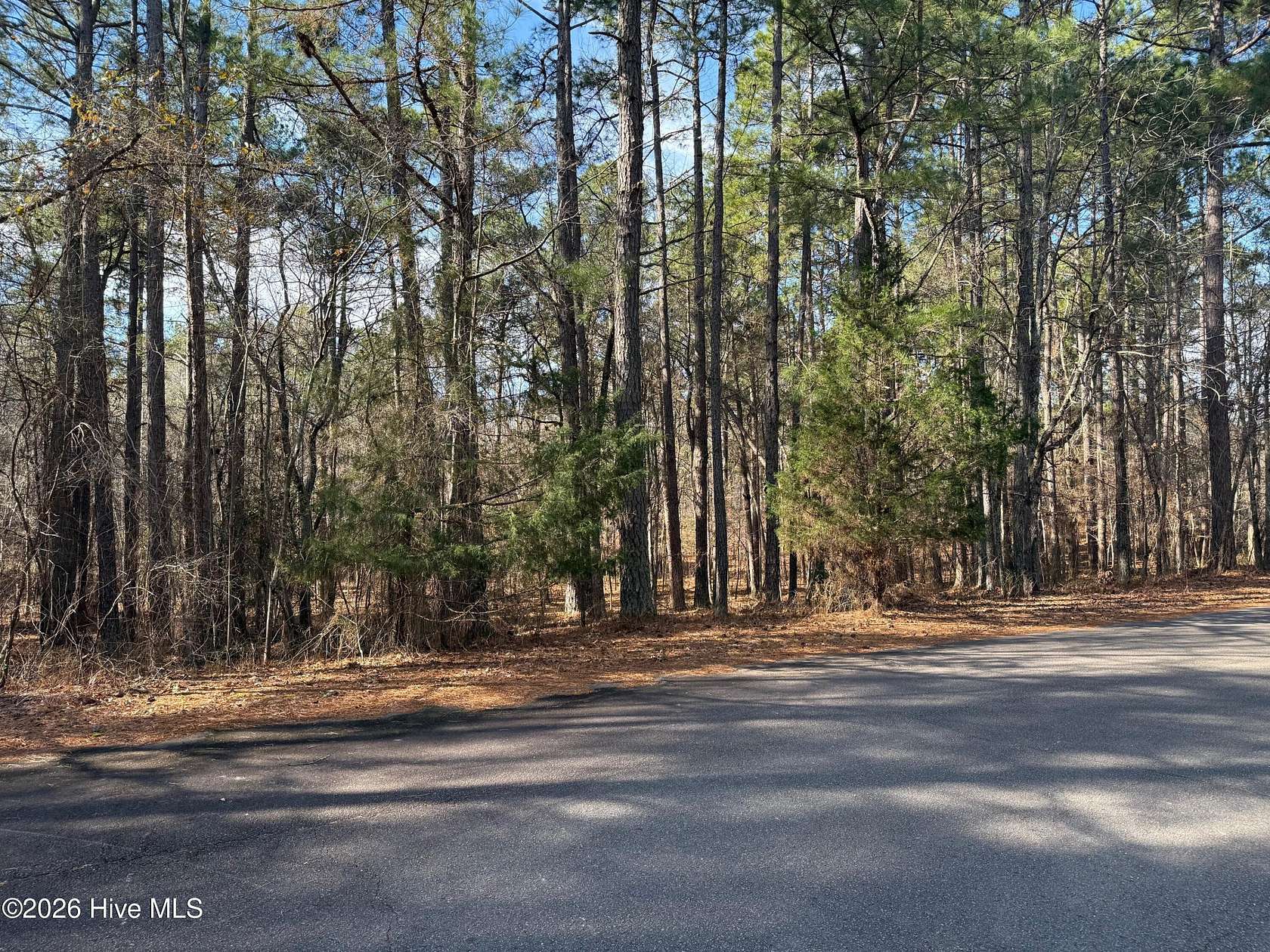0.95 Acres of Residential Land for Sale in West End, North Carolina