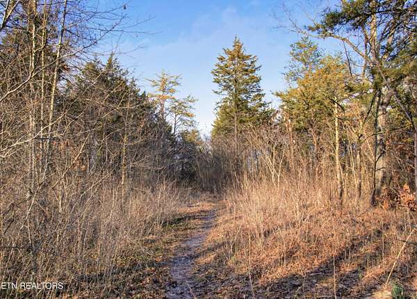 1 Acre of Residential Land for Sale in Knoxville, Tennessee