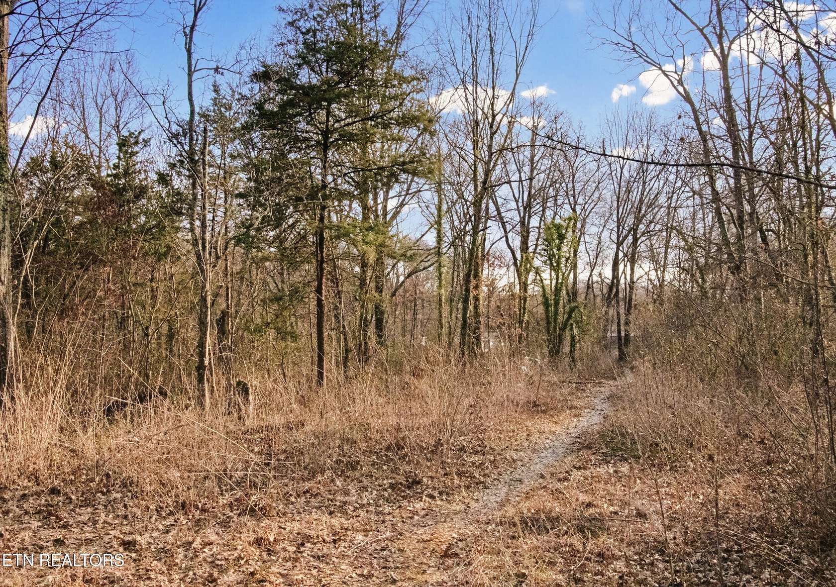 0.88 Acres of Residential Land for Sale in Knoxville, Tennessee