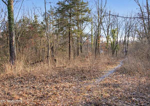 0.77 Acres of Residential Land for Sale in Knoxville, Tennessee
