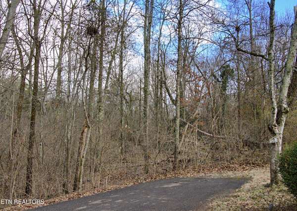 0.78 Acres of Residential Land for Sale in Knoxville, Tennessee