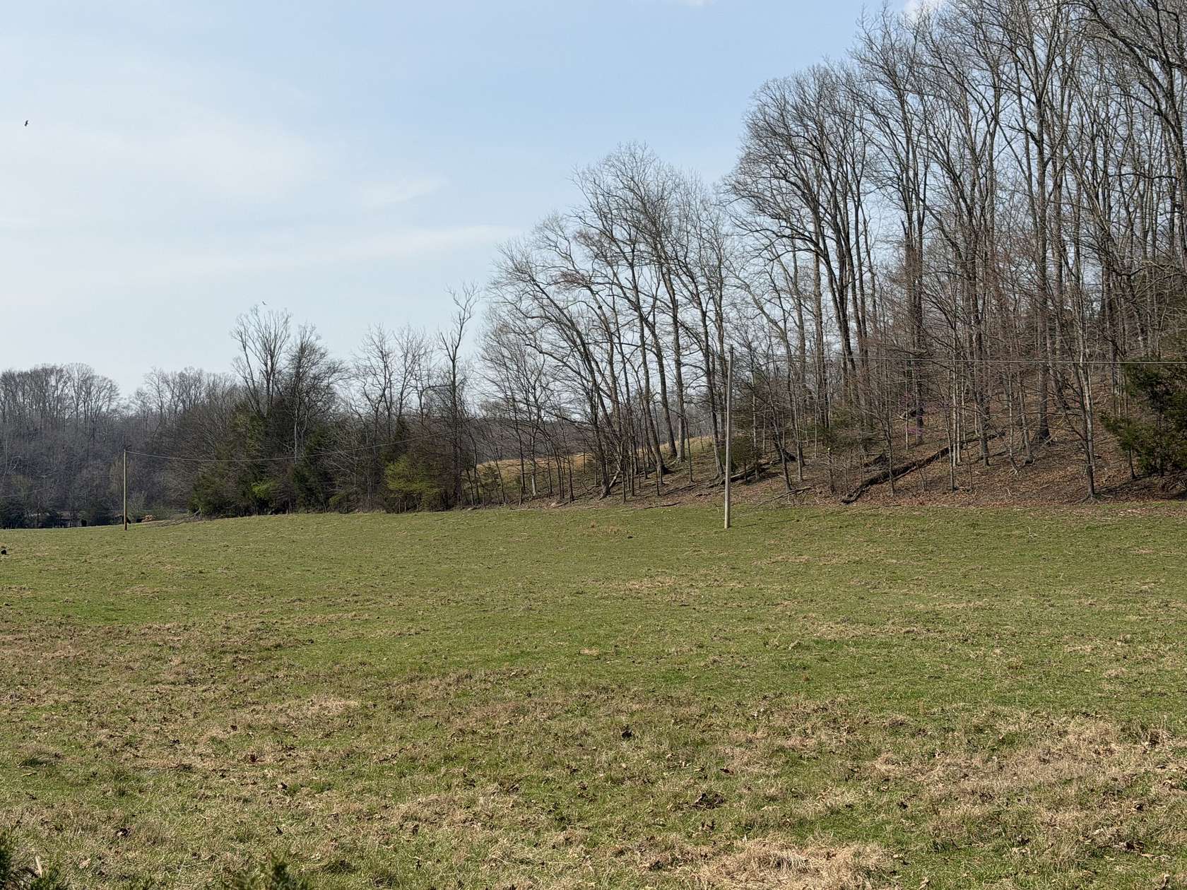 37.8 Acres of Land for Sale in Franklin, Tennessee