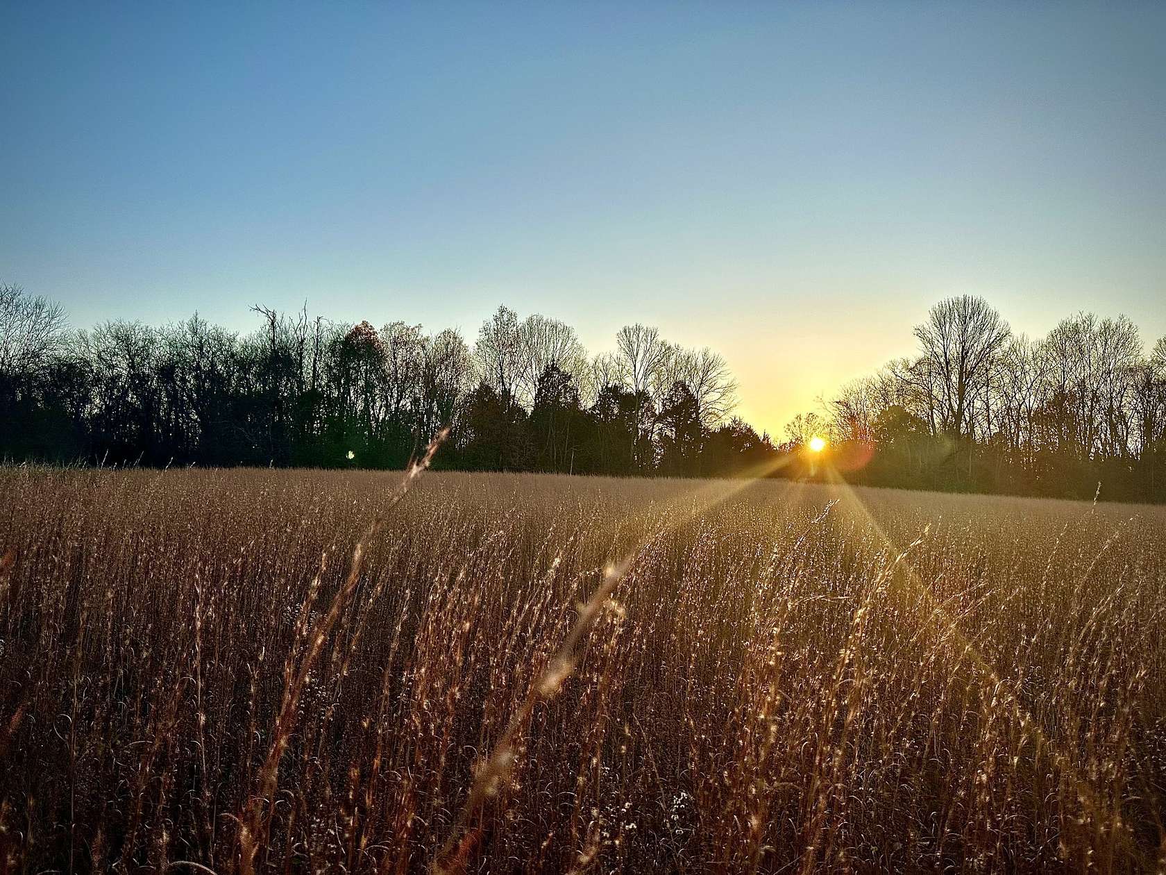 21.3 Acres of Land for Sale in Franklin, Tennessee