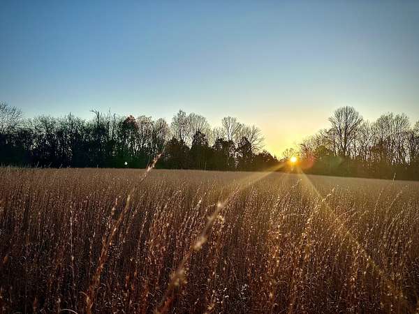 21.3 Acres of Land for Sale in Franklin, Tennessee