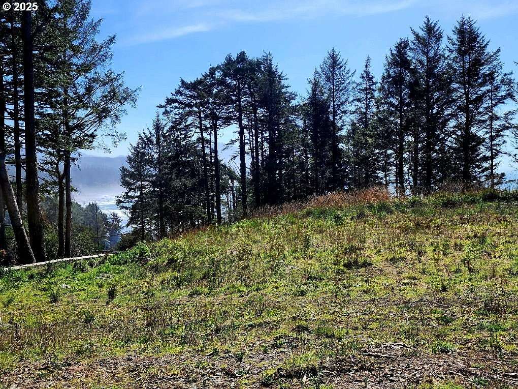 1 Acre of Residential Land for Sale in Port Orford, Oregon