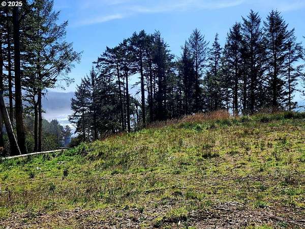 1 Acre of Residential Land for Sale in Port Orford, Oregon