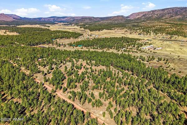 6.7 Acres of Residential Land for Sale in Alpine, Arizona