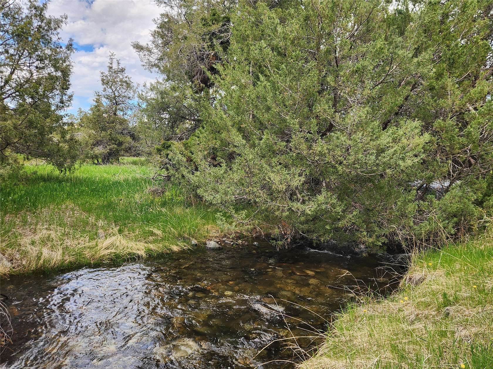 6.34 Acres of Land with Home for Sale in Stevensville, Montana